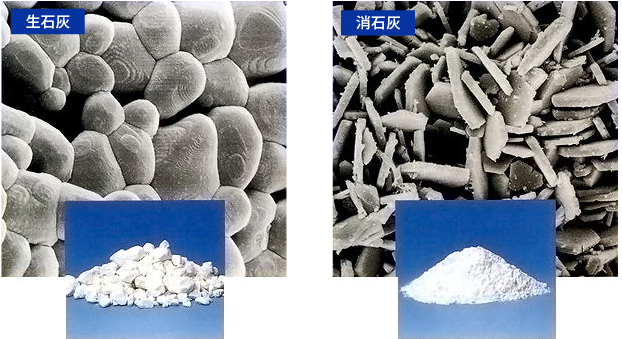 生石灰と消石灰